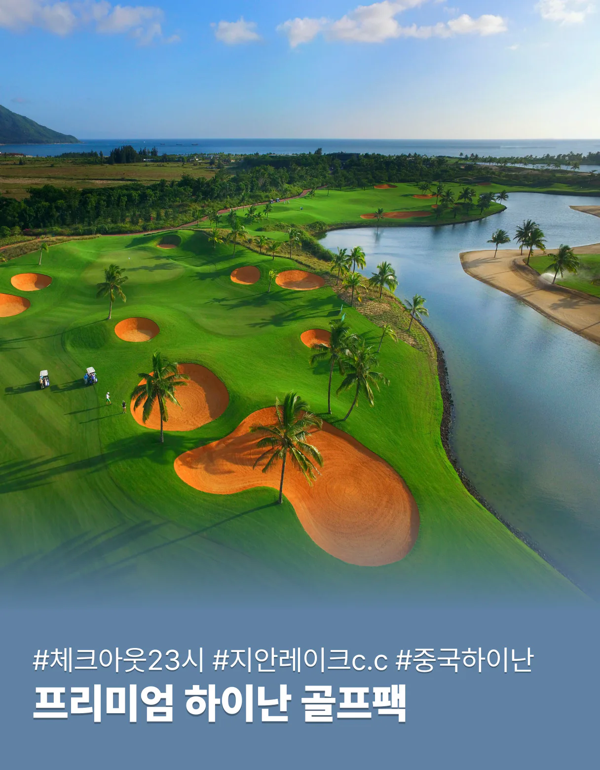 5인 프로모션